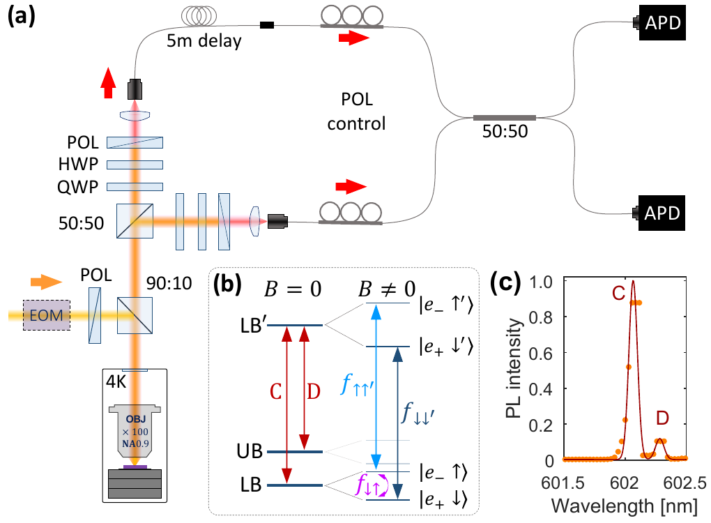 Experimental setup from: Quantum Interference of Resonance Fluorescence from Germanium-Vacancy Color Centers in Diamond