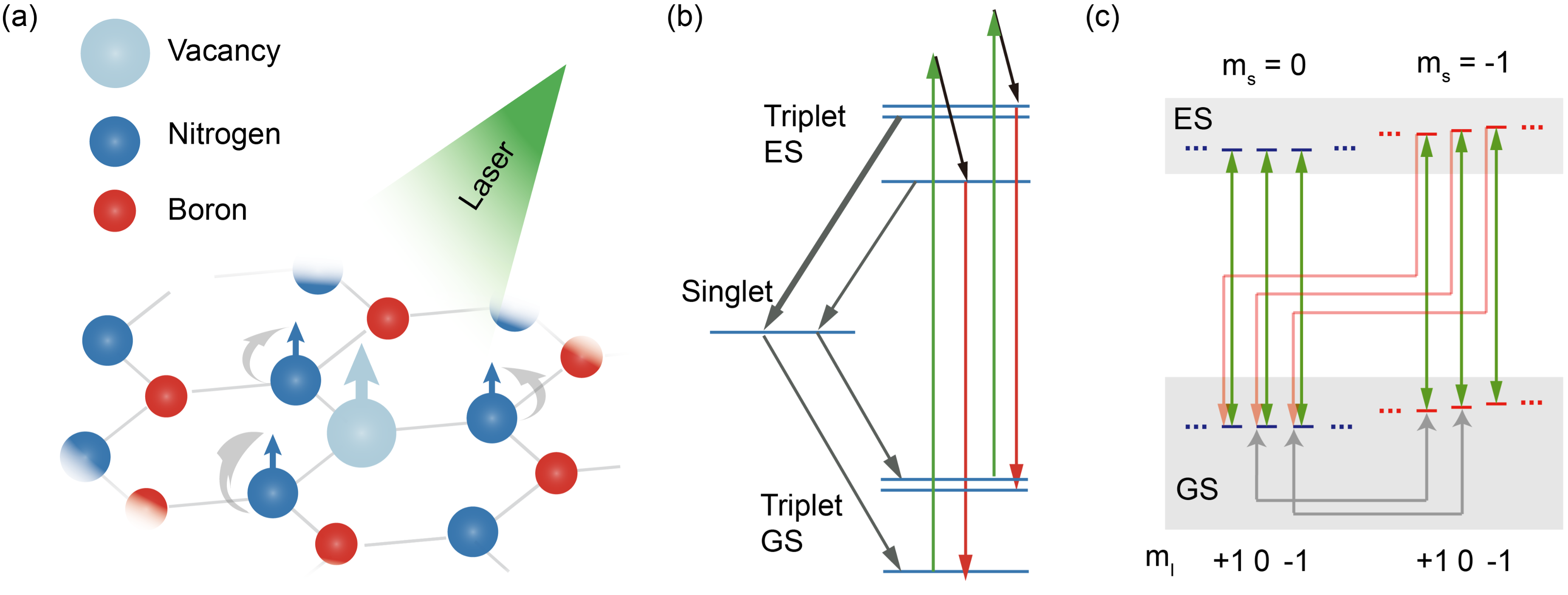 Figure from: Robust Nuclear Spin Polarization via Ground-State Level Anticrossing of Boron Vacancy Defects in Hexagonal Boron Nitride